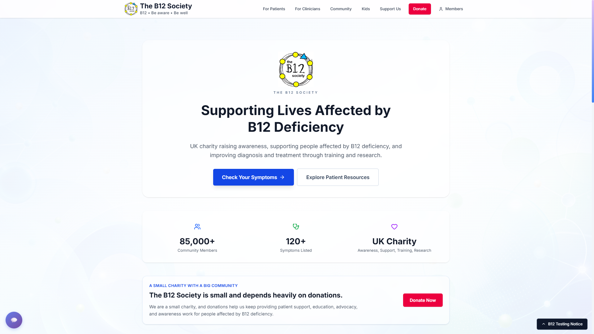 The B12 Society website